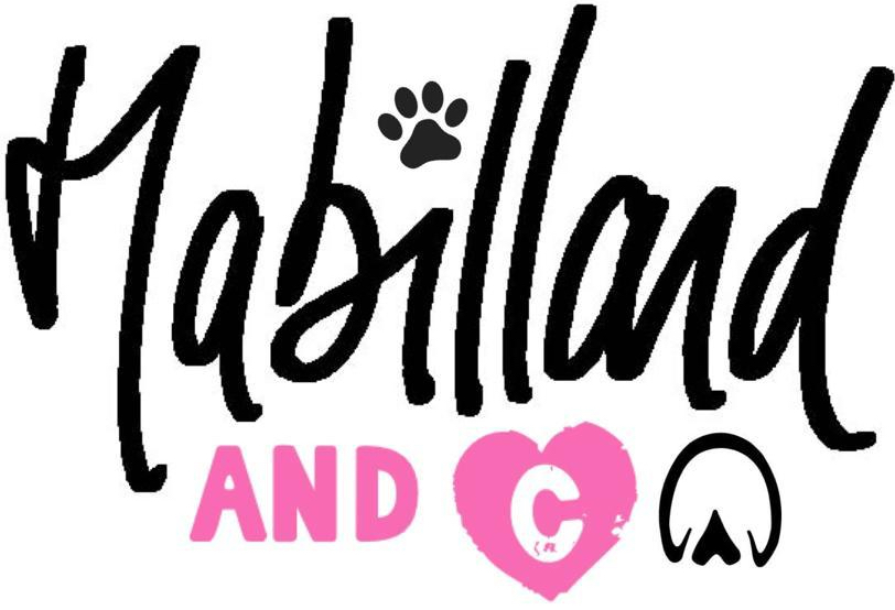 Mabillard&Co